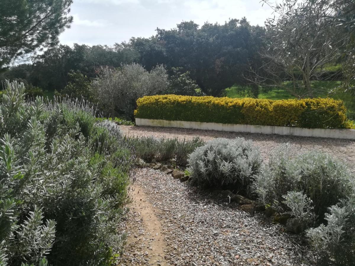 Quinta Do Cano 에보라 외부 사진