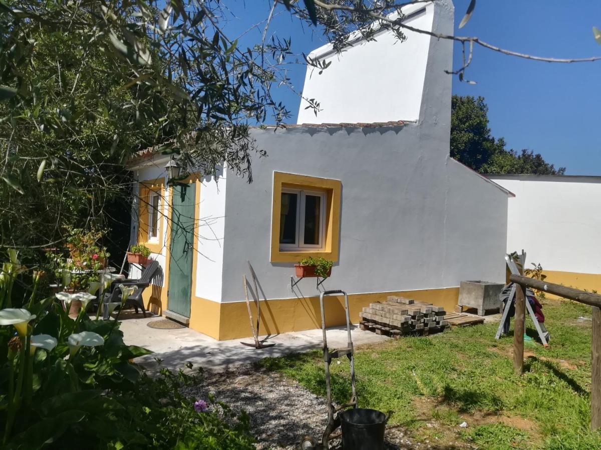 Quinta Do Cano 에보라 외부 사진