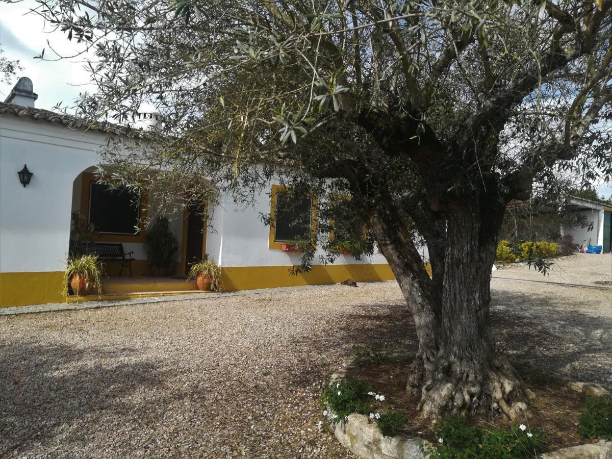 Quinta Do Cano 에보라 외부 사진